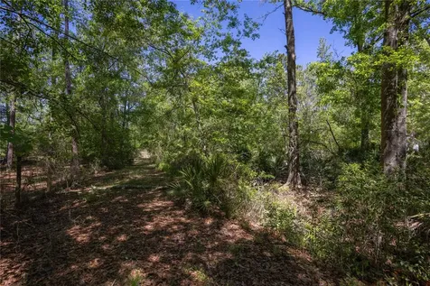 NE 108th Avenue Waldo FL 32694
