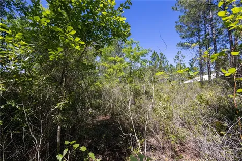 NE 108th Avenue Waldo FL 32694