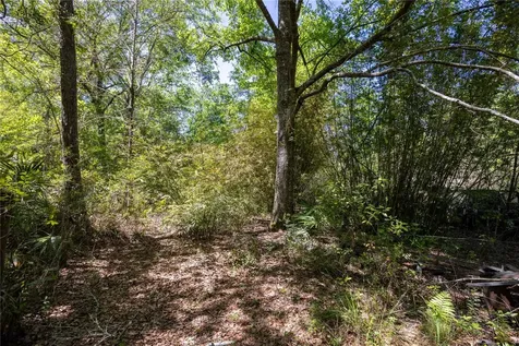 NE 108th Avenue Waldo FL 32694