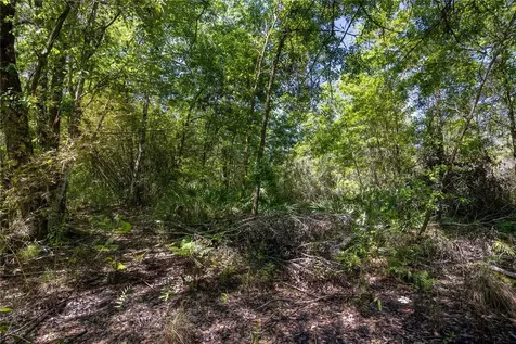 NE 108th Avenue Waldo FL 32694