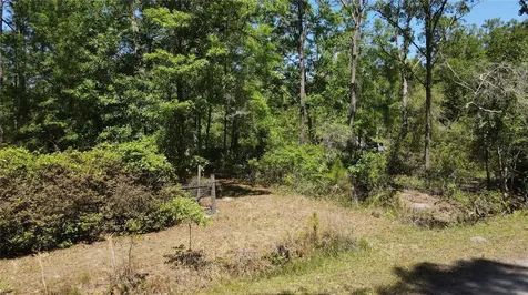 NE 108th Avenue Waldo FL 32694