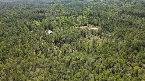 NE 108th Avenue Waldo FL 32694