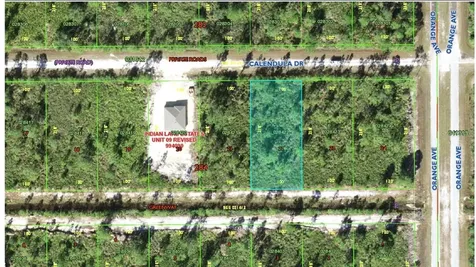 705 Calendula Drive Indian Lake Estates FL 33855