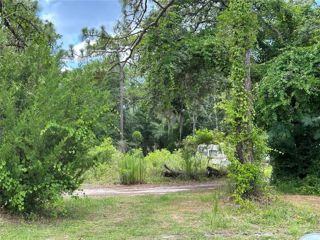 7435 W Lincoln Lane Homosassa FL 34448