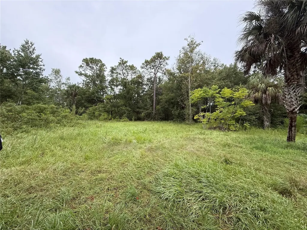 7435 W Lincoln Lane Homosassa FL 34448