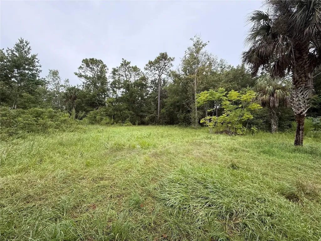 7435 W Lincoln Lane Homosassa FL 34448