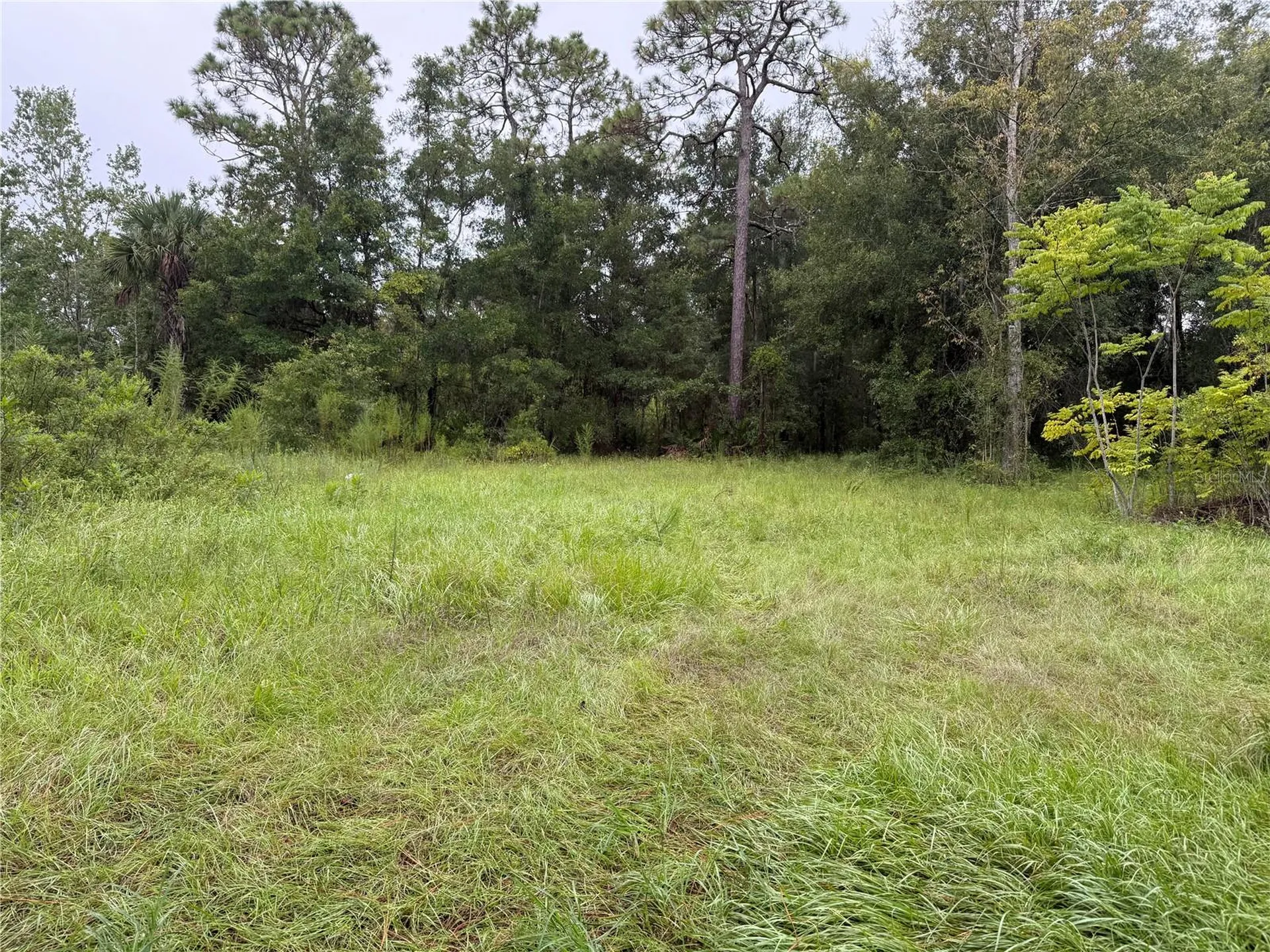 7435 W Lincoln Lane Homosassa FL 34448