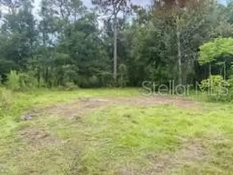 7435 W Lincoln Lane Homosassa FL 34448