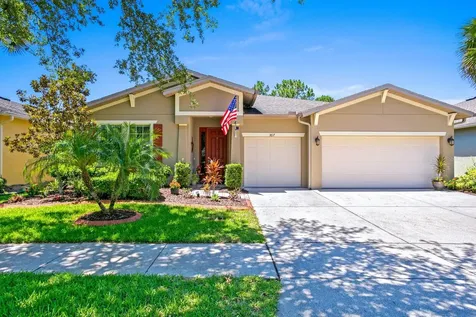3817 Evergreen Oaks Drive Lutz FL 33558