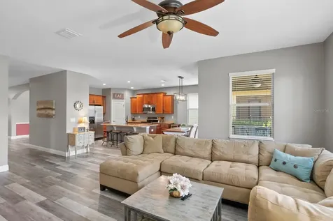 3817 Evergreen Oaks Drive Lutz FL 33558