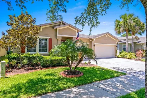 3817 Evergreen Oaks Drive Lutz FL 33558
