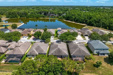 3817 Evergreen Oaks Drive Lutz FL 33558