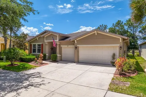 3817 Evergreen Oaks Drive Lutz FL 33558