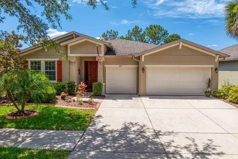 3817 Evergreen Oaks Drive Lutz FL 33558