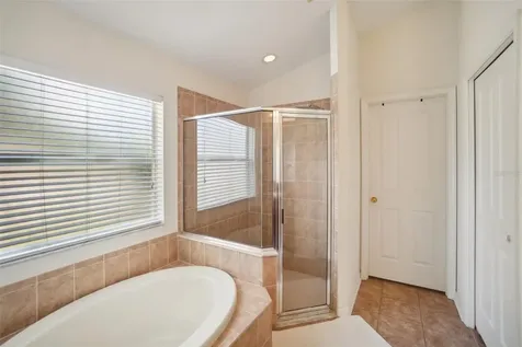 3315 Stoneman Loop Land O Lakes FL 34638