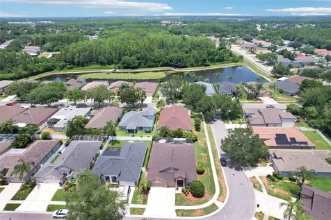 3315 Stoneman Loop Land O Lakes FL 34638