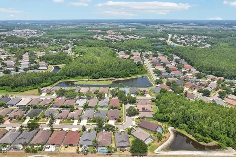 3315 Stoneman Loop Land O Lakes FL 34638