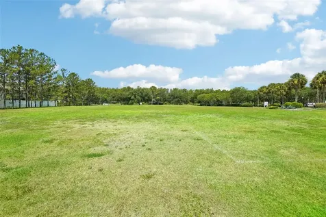 3315 Stoneman Loop Land O Lakes FL 34638
