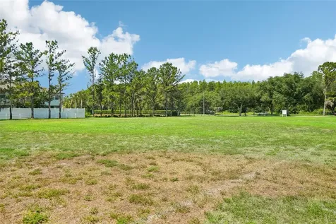 3315 Stoneman Loop Land O Lakes FL 34638