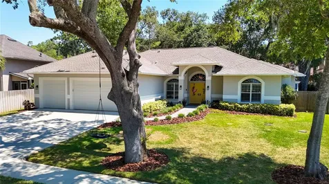 213 Water View Court Safety Harbor FL 34695