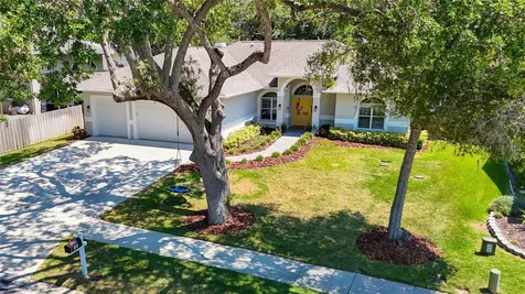 213 Water View Court Safety Harbor FL 34695