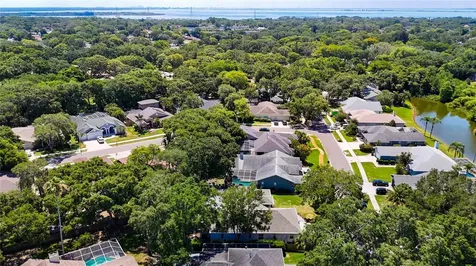 213 Water View Court Safety Harbor FL 34695