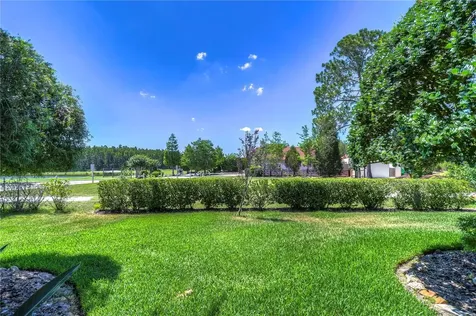 18822 Rue Loire Lutz FL 33558