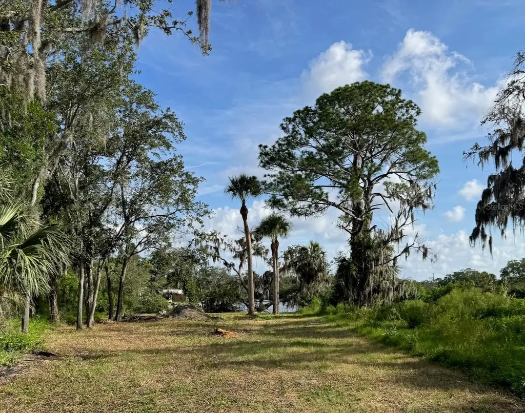 Tiberius Trail New Port Richey FL 34652