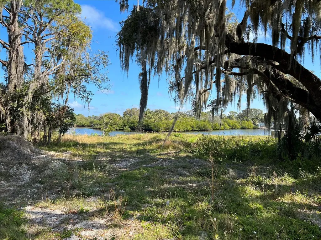 Tiberius Trail New Port Richey FL 34652