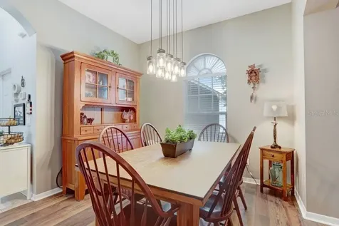 2962 Hickory Grove Drive Valrico FL 33596