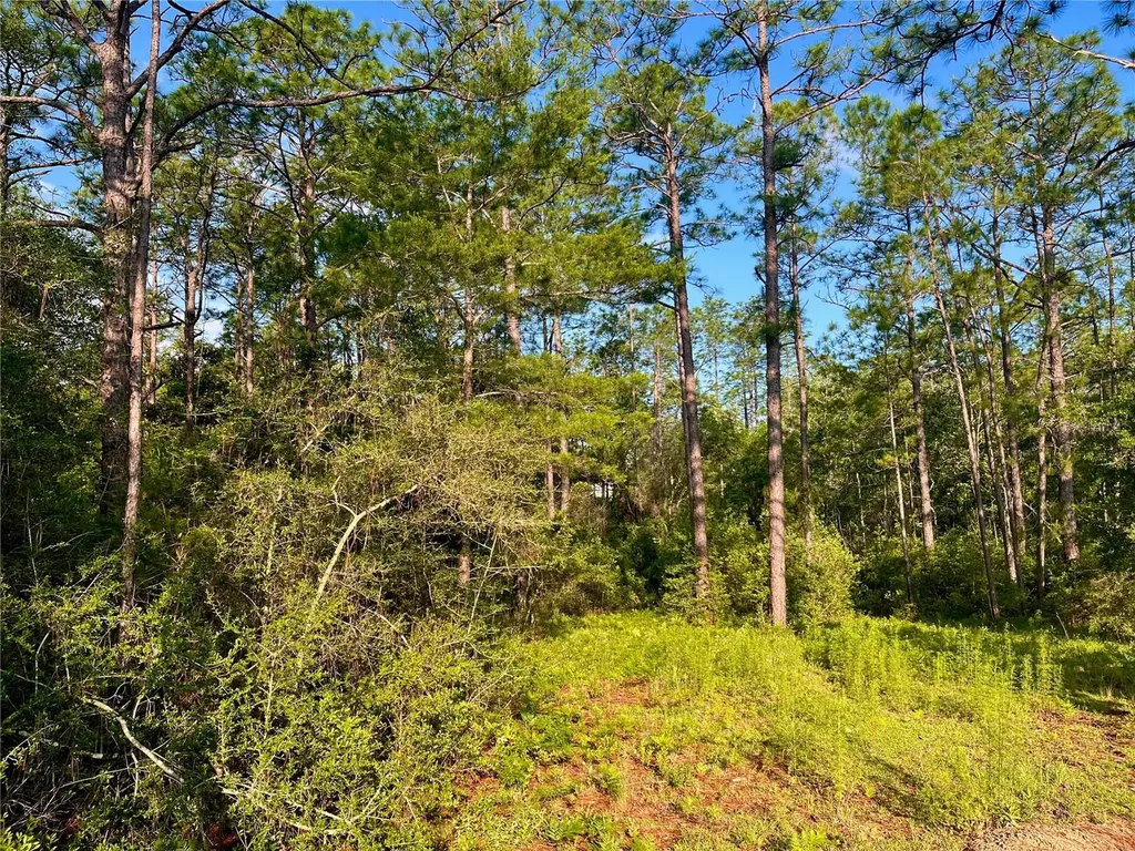 Pinetree Lane Defuniak Springs FL 32433