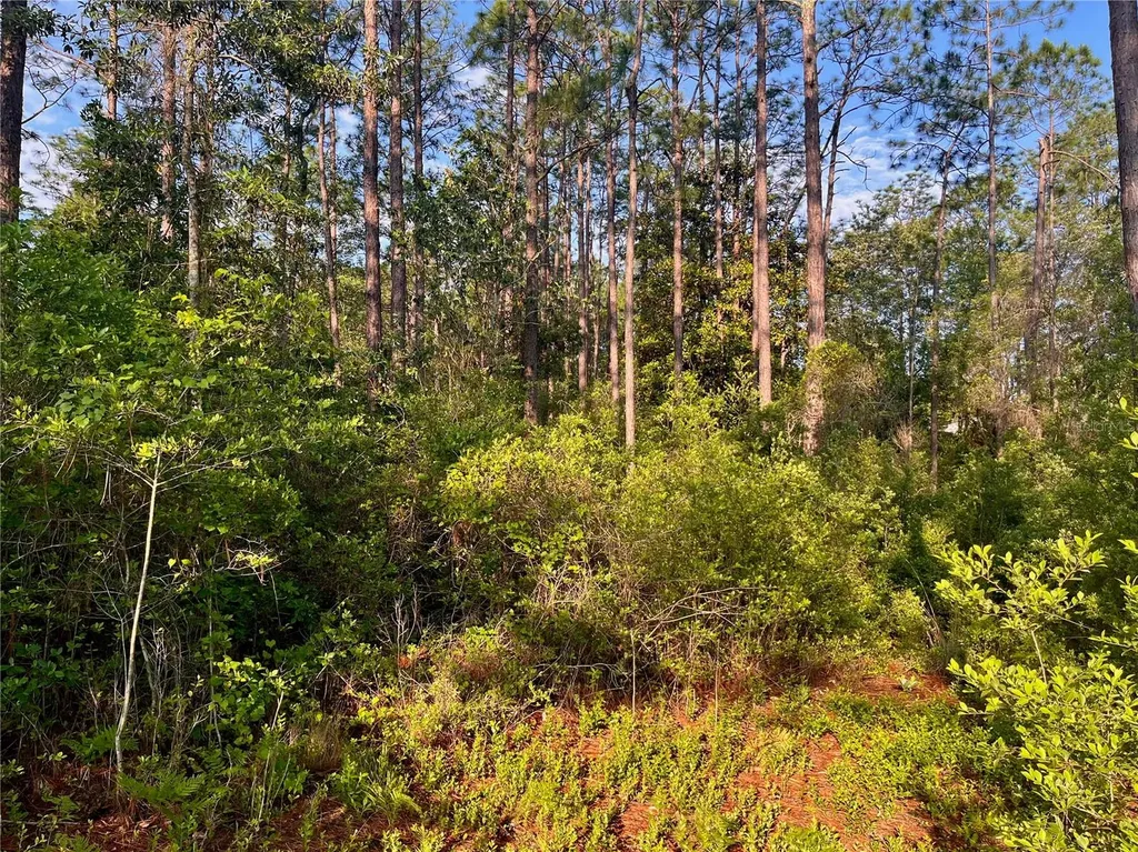 Pinetree Lane Defuniak Springs FL 32433