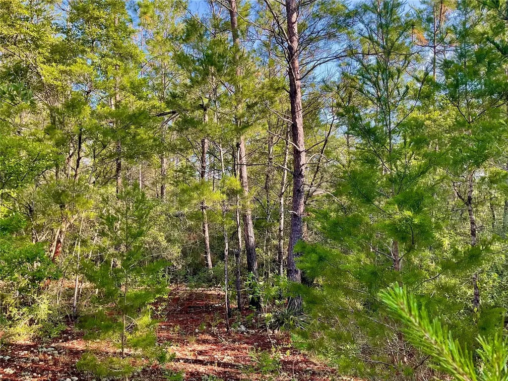 Pinetree Lane Defuniak Springs FL 32433