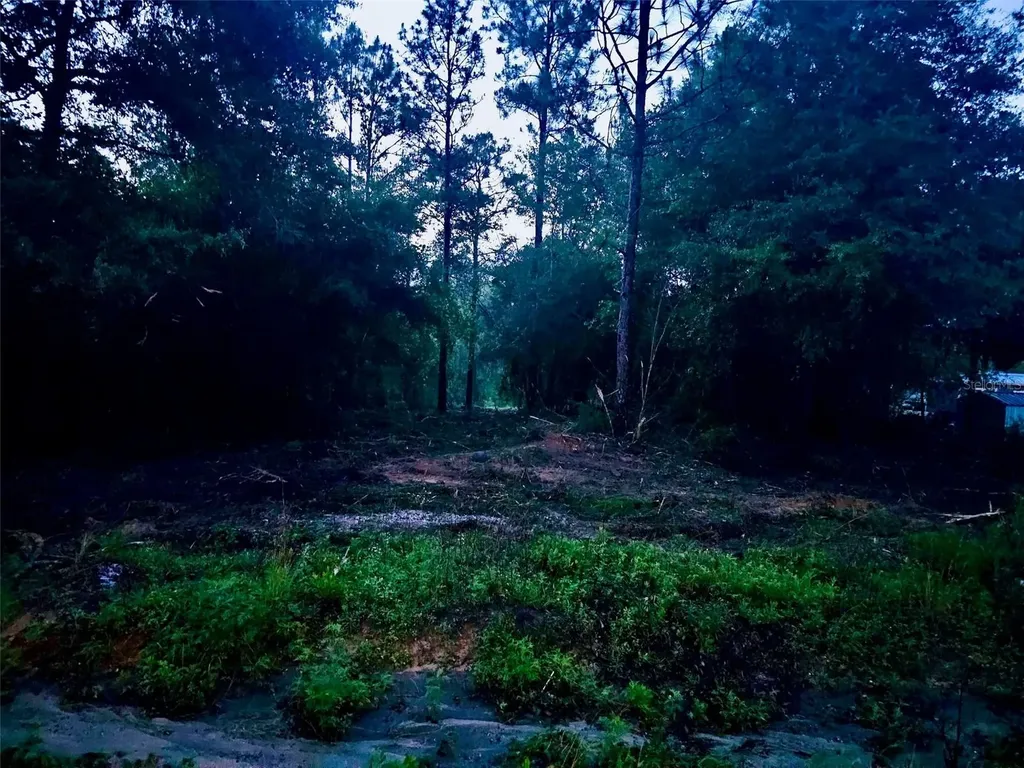 Pinetree Lane Defuniak Springs FL 32433