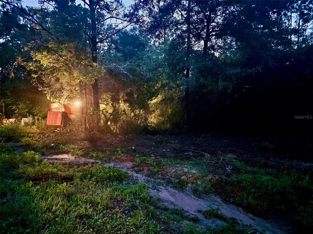Pinetree Lane Defuniak Springs FL 32433