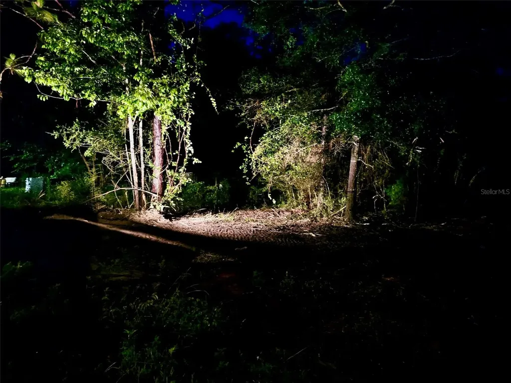 Pinetree Lane Defuniak Springs FL 32433