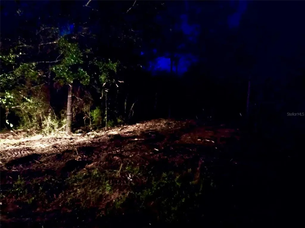 Pinetree Lane Defuniak Springs FL 32433