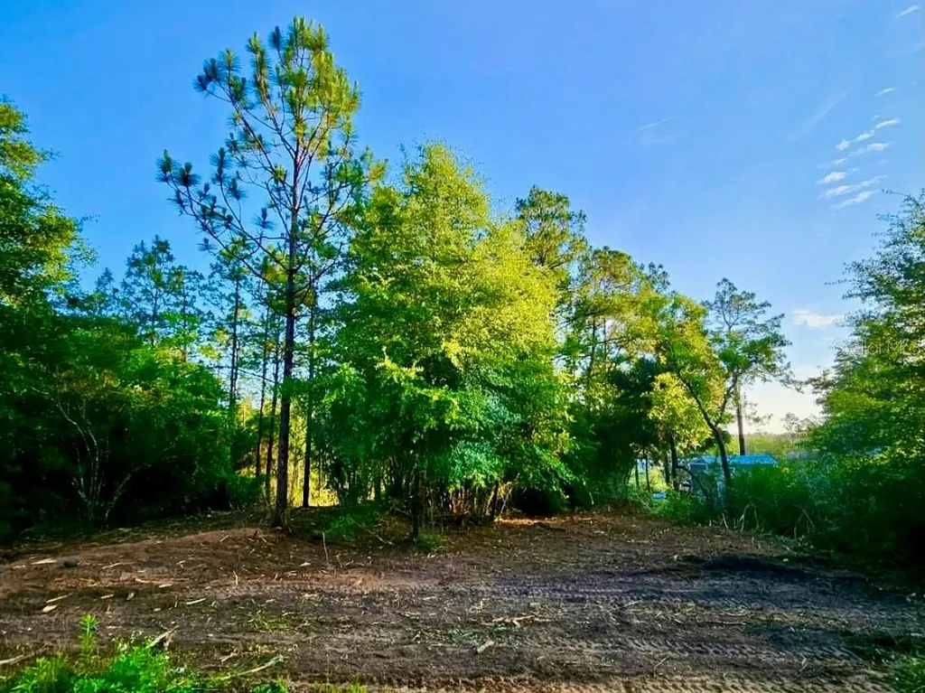 Pinetree Lane Defuniak Springs FL 32433