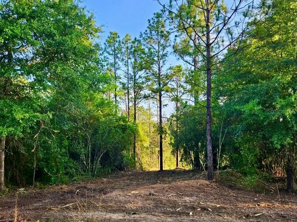Pinetree Lane Defuniak Springs FL 32433