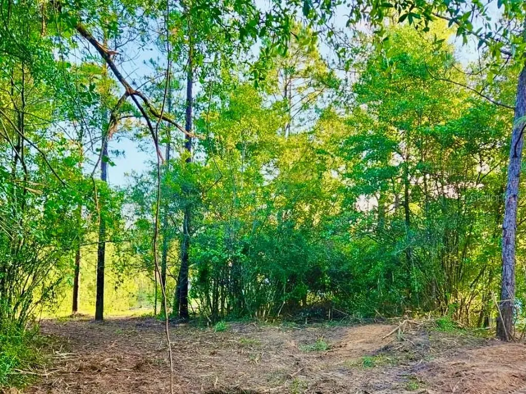 Pinetree Lane Defuniak Springs FL 32433