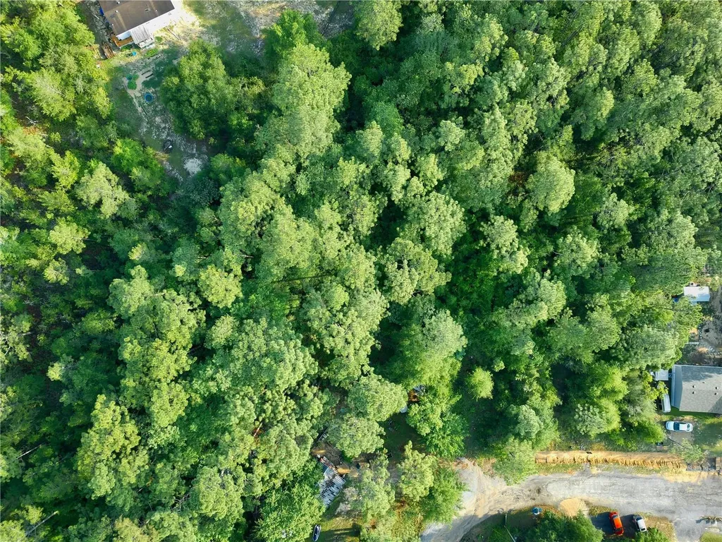 Pinetree Lane Defuniak Springs FL 32433