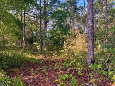 Pinetree Lane Defuniak Springs FL 32433