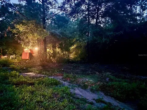 Pinetree Lane Defuniak Springs FL 32433