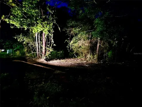 Pinetree Lane Defuniak Springs FL 32433