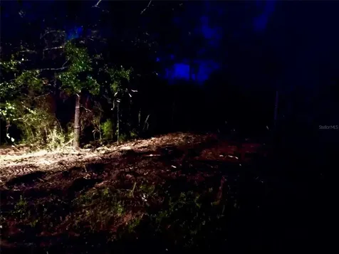 Pinetree Lane Defuniak Springs FL 32433
