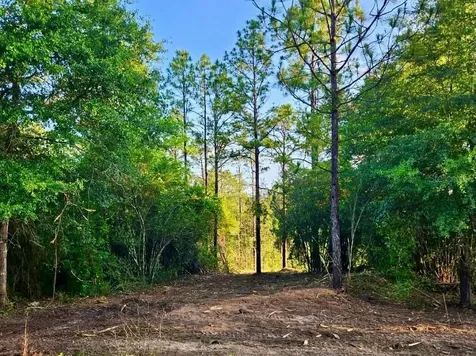 Pinetree Lane Defuniak Springs FL 32433