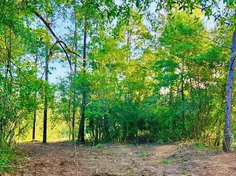 Pinetree Lane Defuniak Springs FL 32433