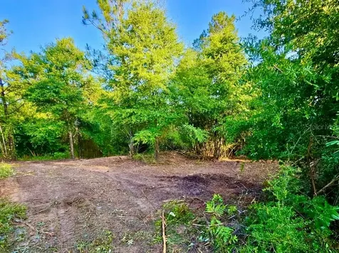 Pinetree Lane Defuniak Springs FL 32433
