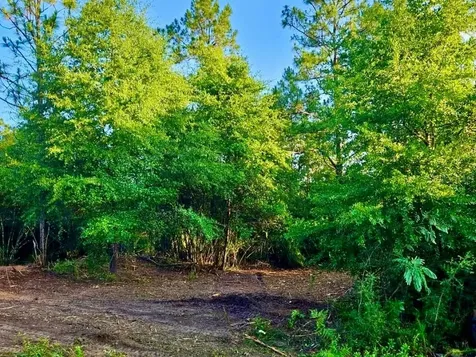 Pinetree Lane Defuniak Springs FL 32433