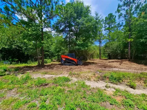 Pinetree Lane Defuniak Springs FL 32433